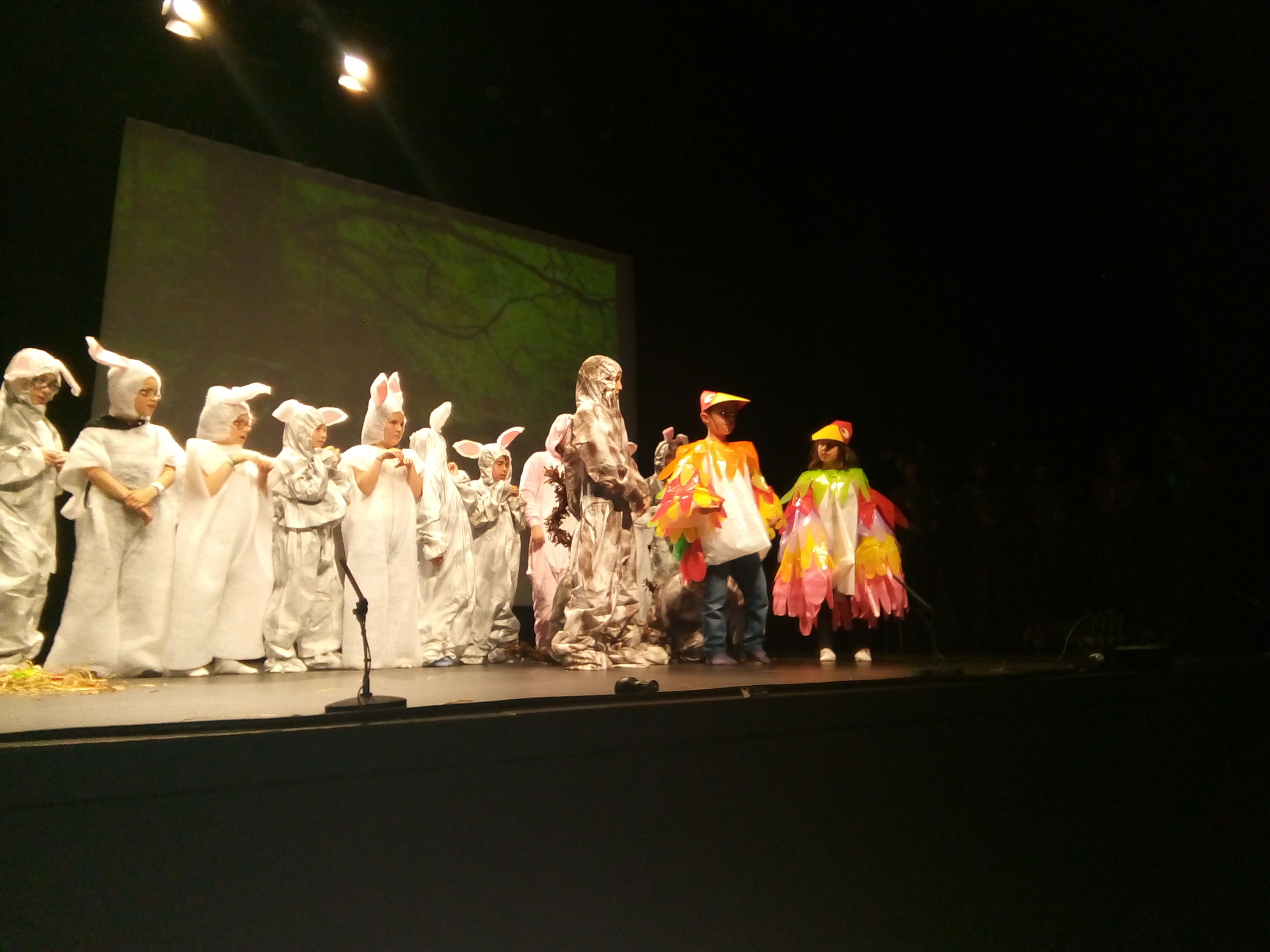 IMG 20180529 214154